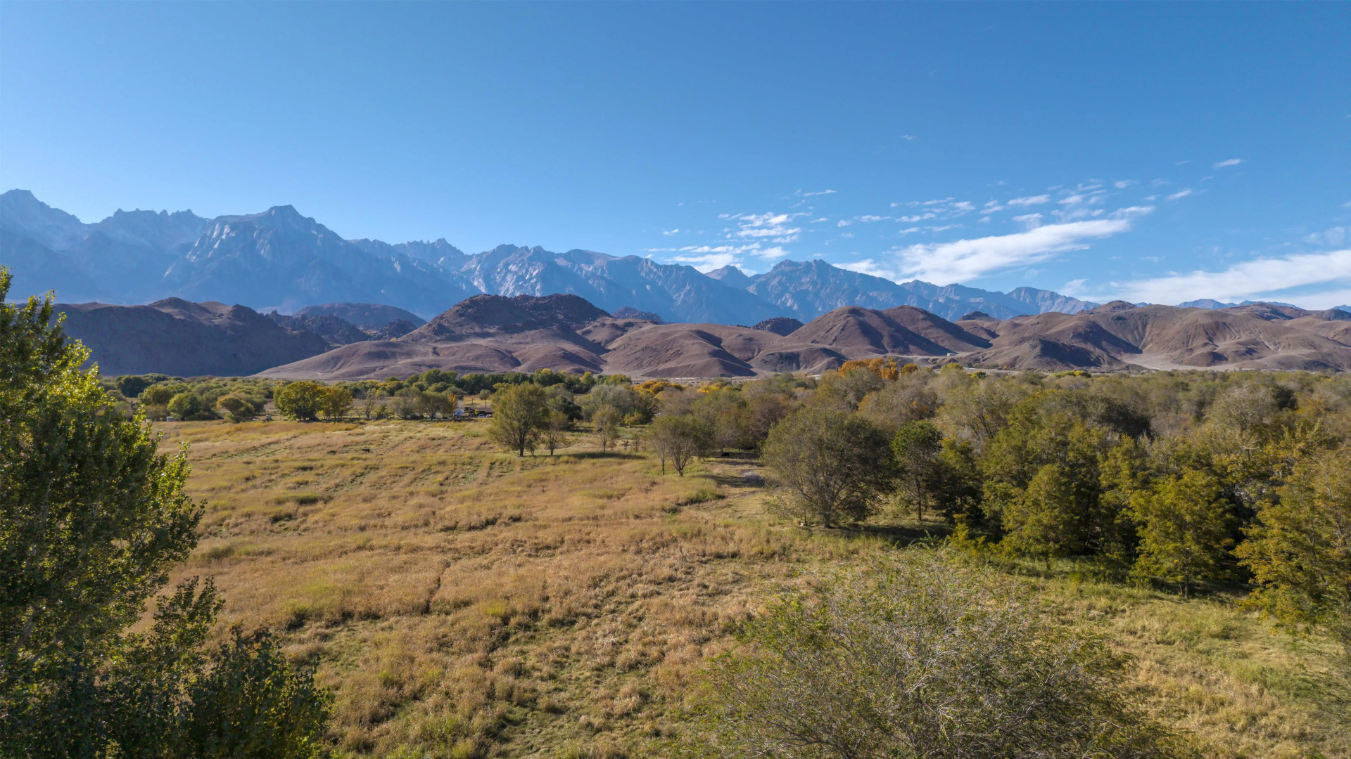 Best Western PLUS Frontier Motel