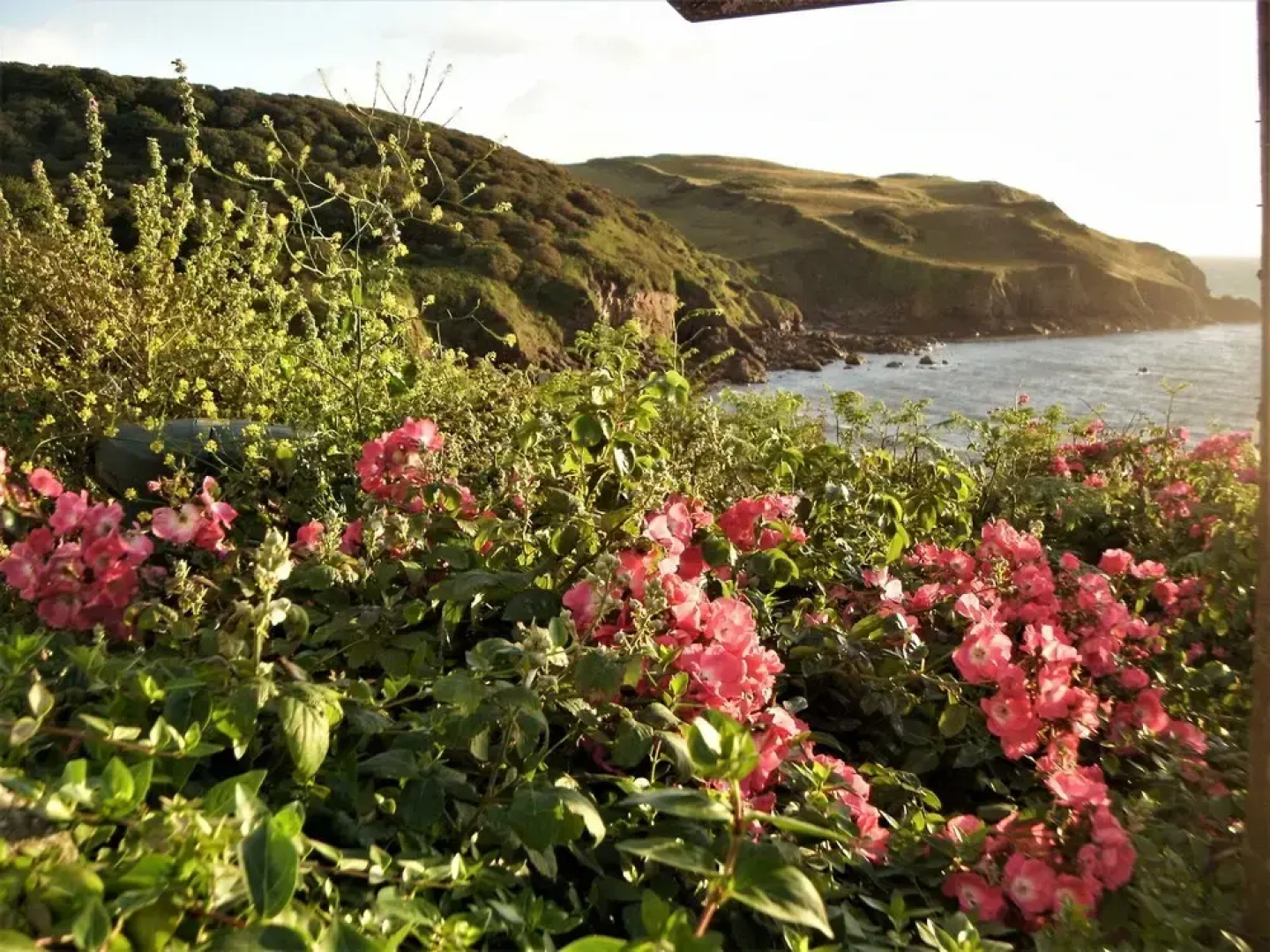 Cottage View