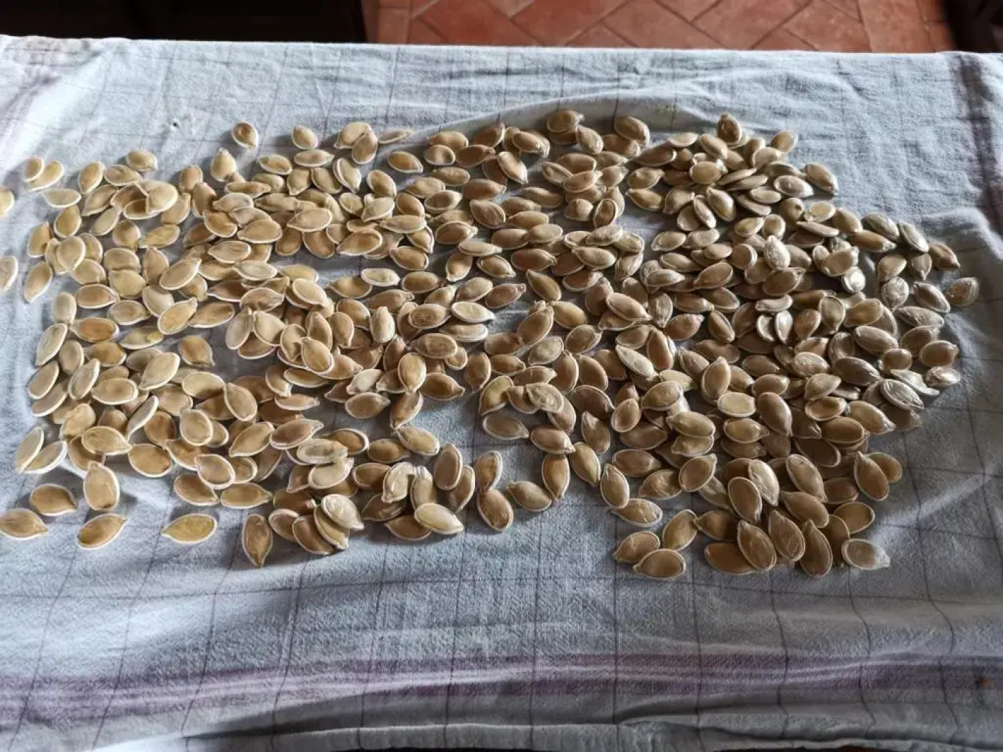 Masseria Le Querciole