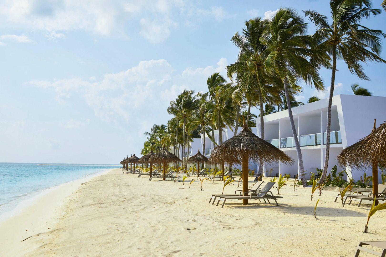 Отель RIU Atoll All inclusive
