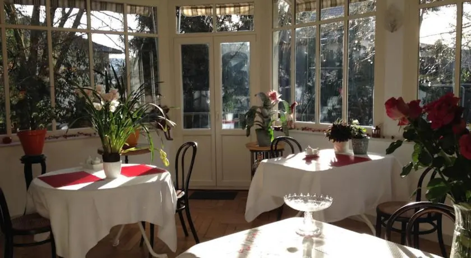 Le Clos Des Ecureuils