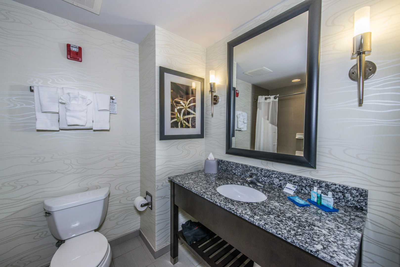 Holiday Inn Express & Suites Charleston Arpt-Conv Ctr Area