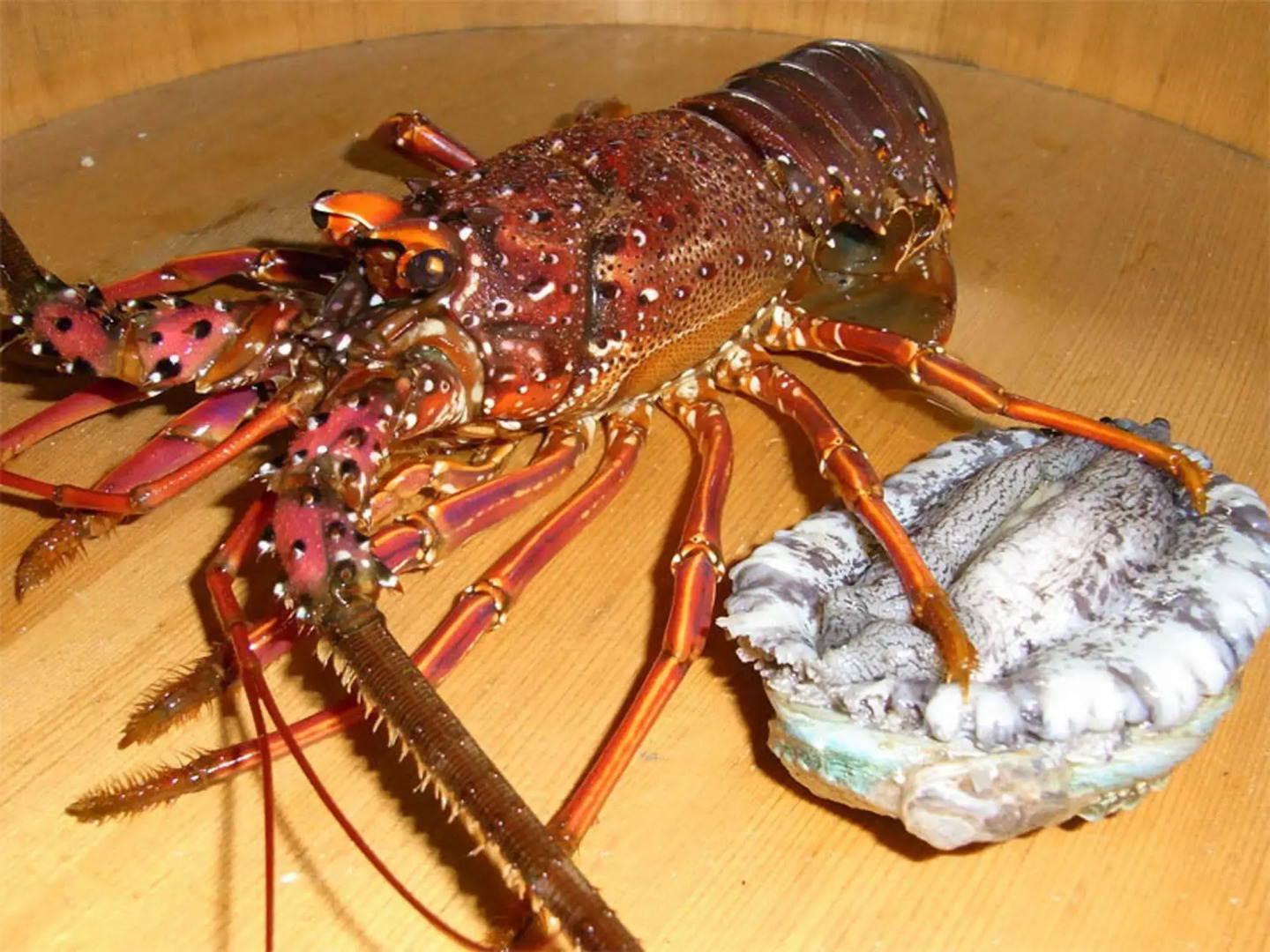 Toushijima Onsen Suzunami