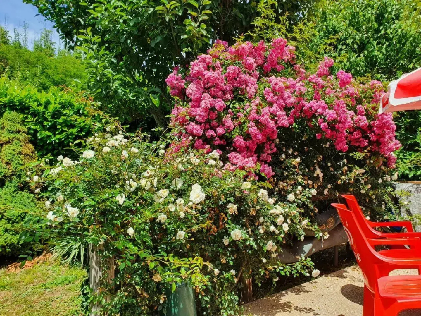 Giardino Dei Fiori