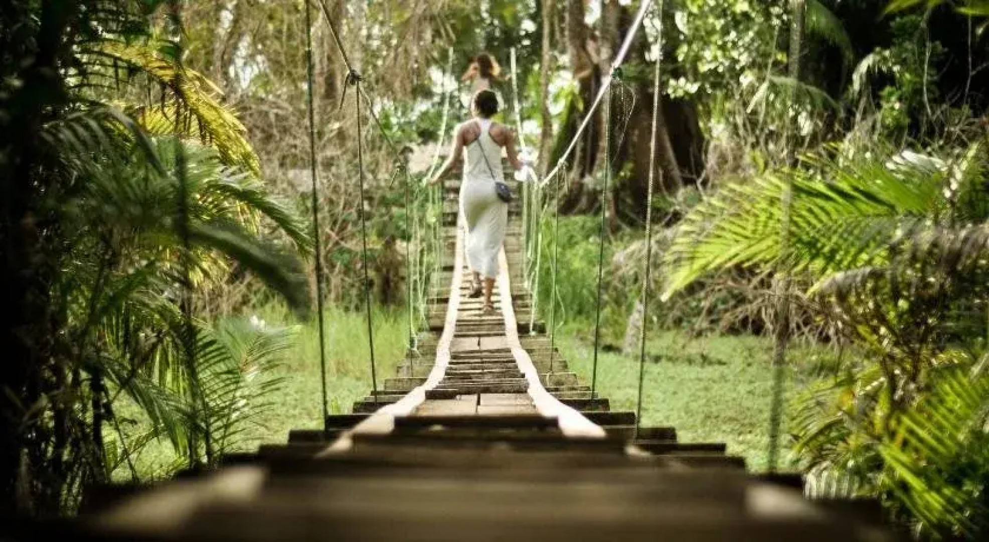 Drake Bay Backpackers