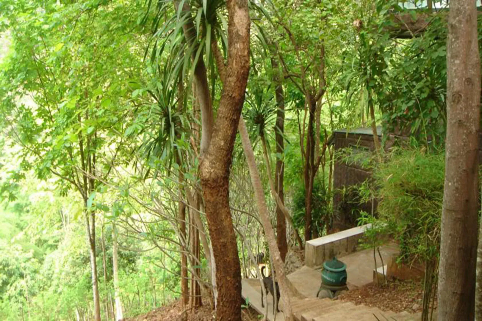 Sam's Jungle Guesthouse