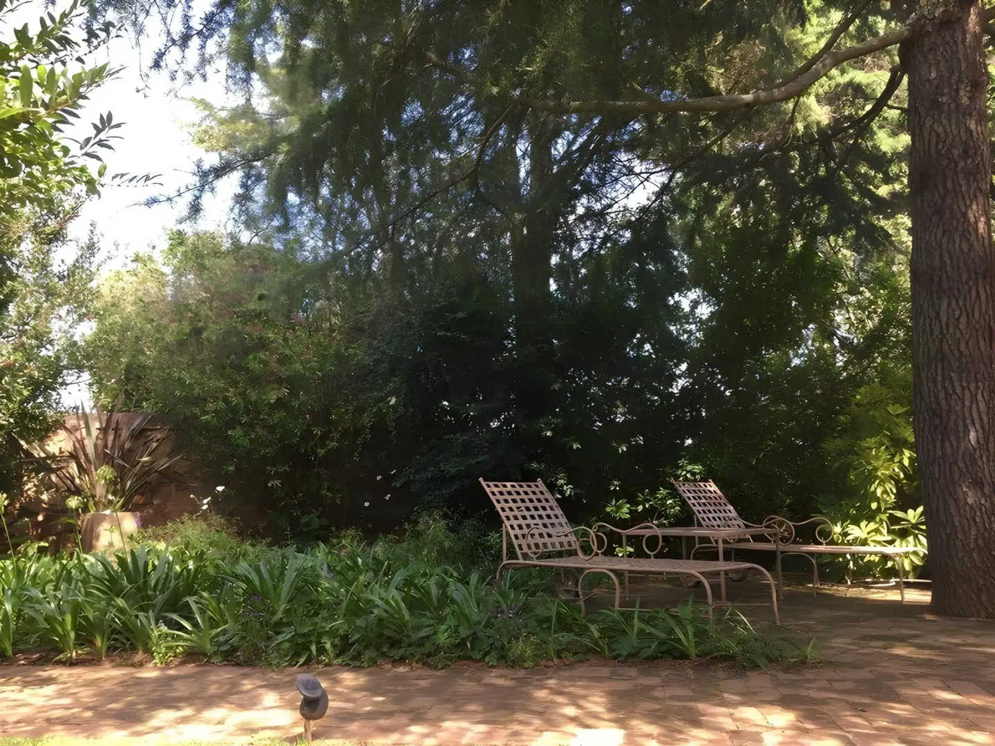 Treelands Estate Dullstroom