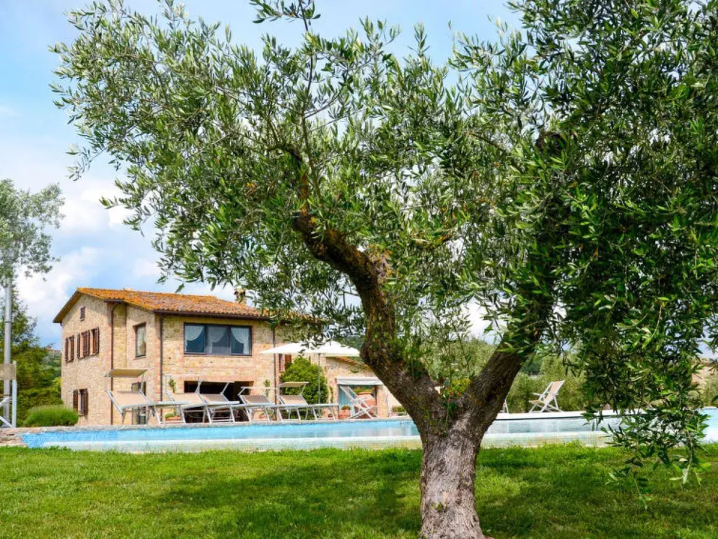 House Moriaolo Collazzone