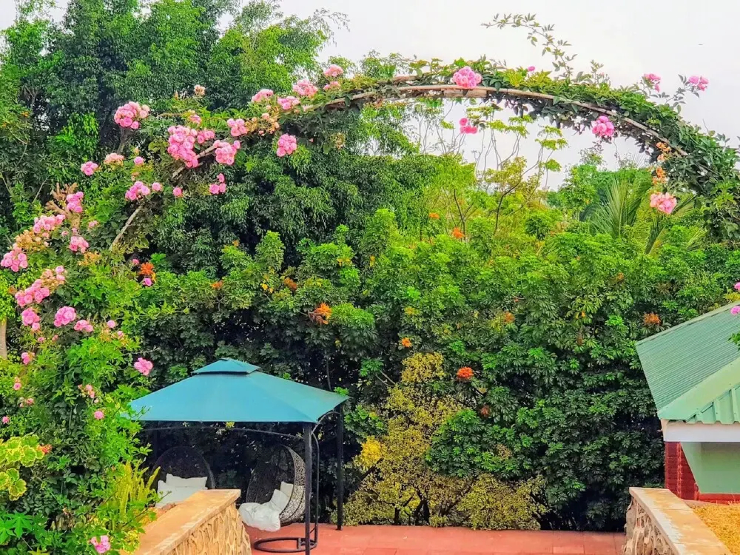 Catalina Lodge and Botanical Gardens