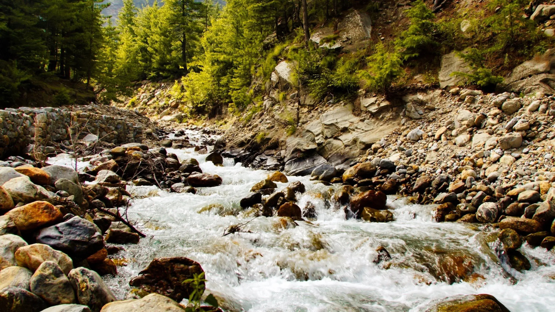 Banjara Camp and Retreat Sangla
