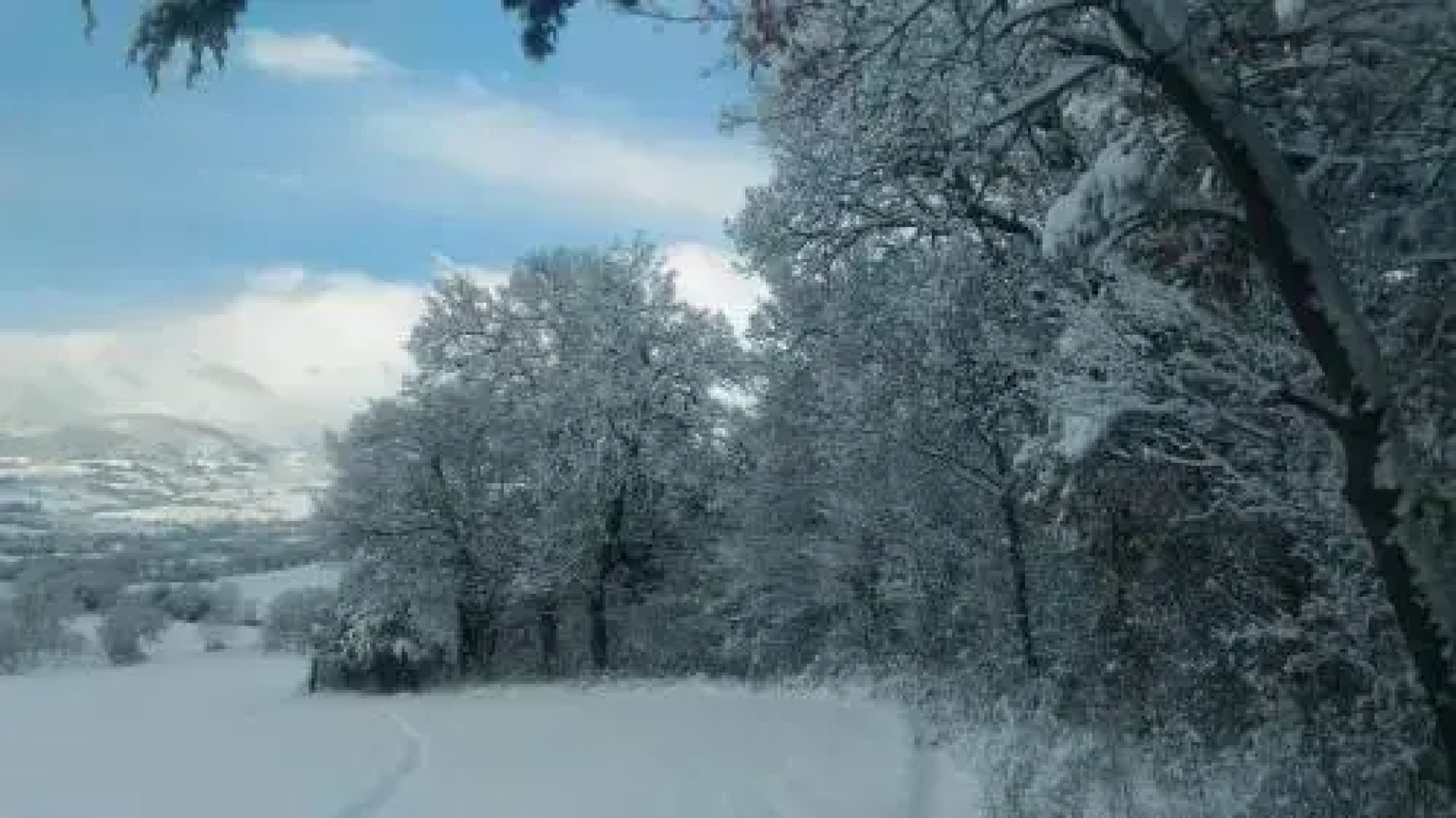 Anthoria B&B-Monolocale