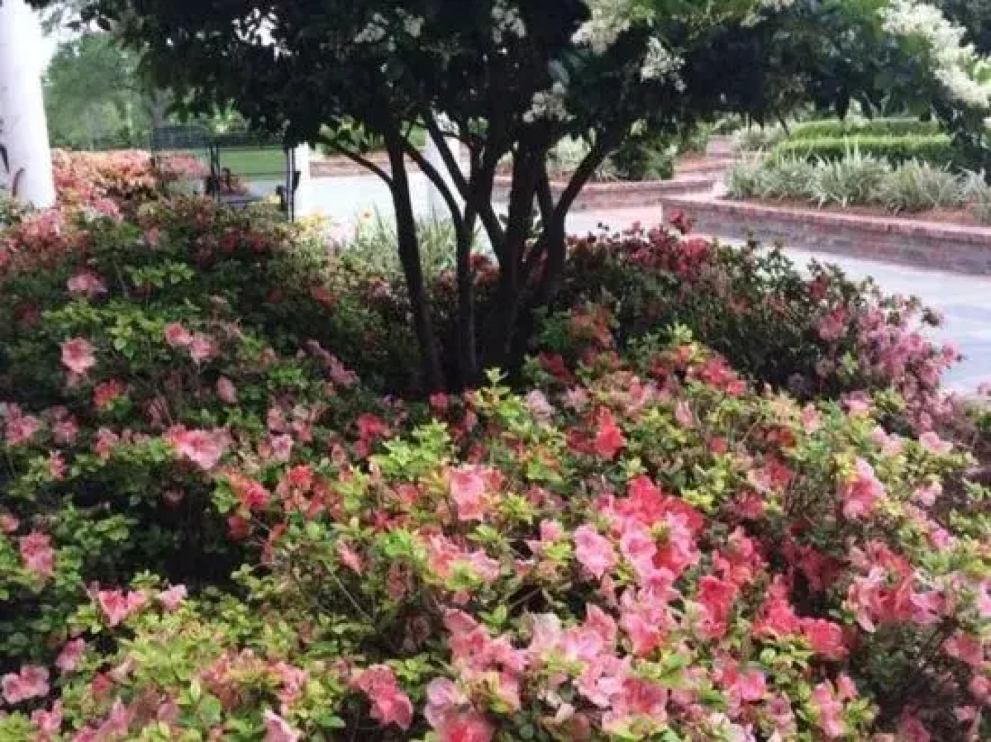 The Mansion at Red Hill