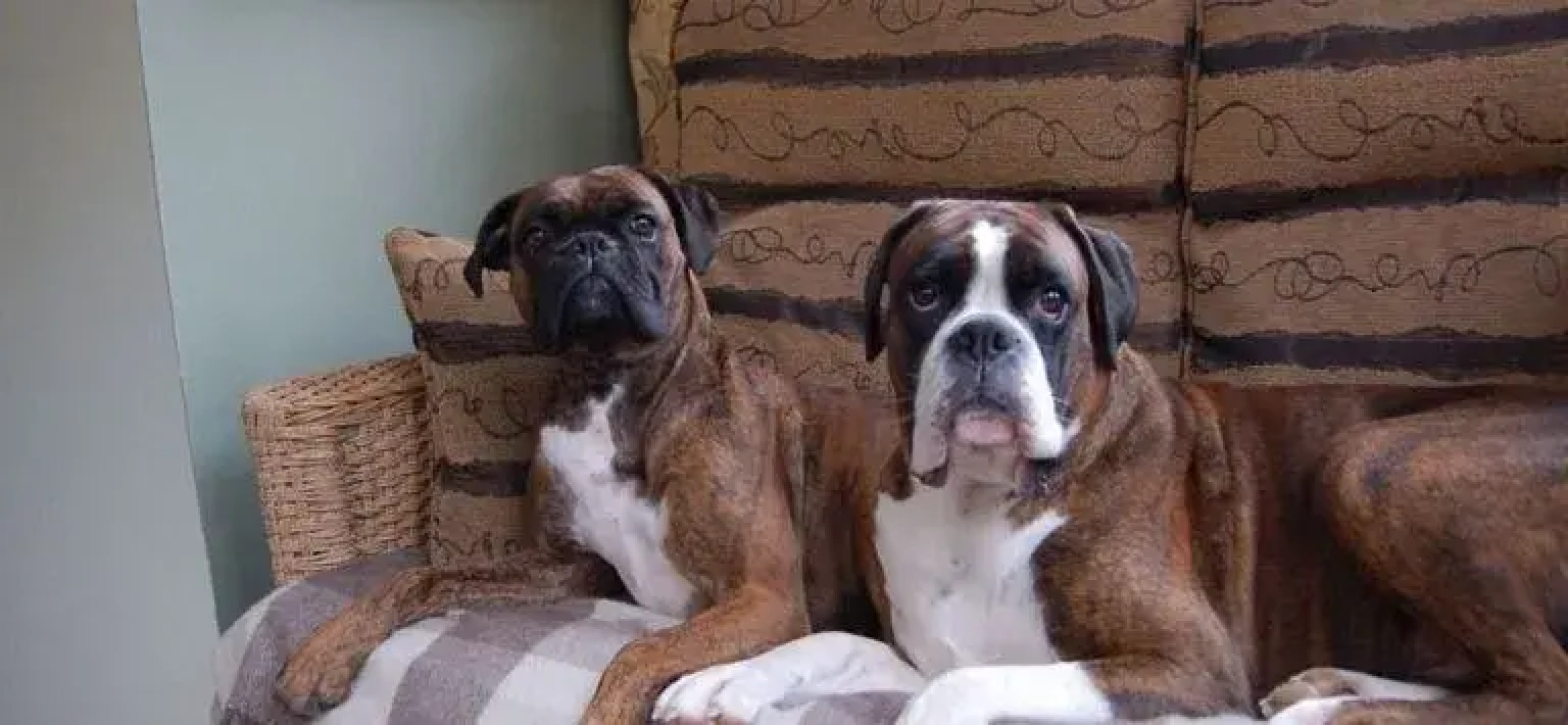 Drynachan Bed & Breakfast