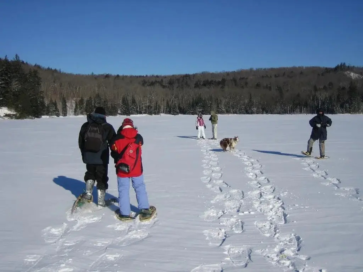 Algonquin Eco-Lodge