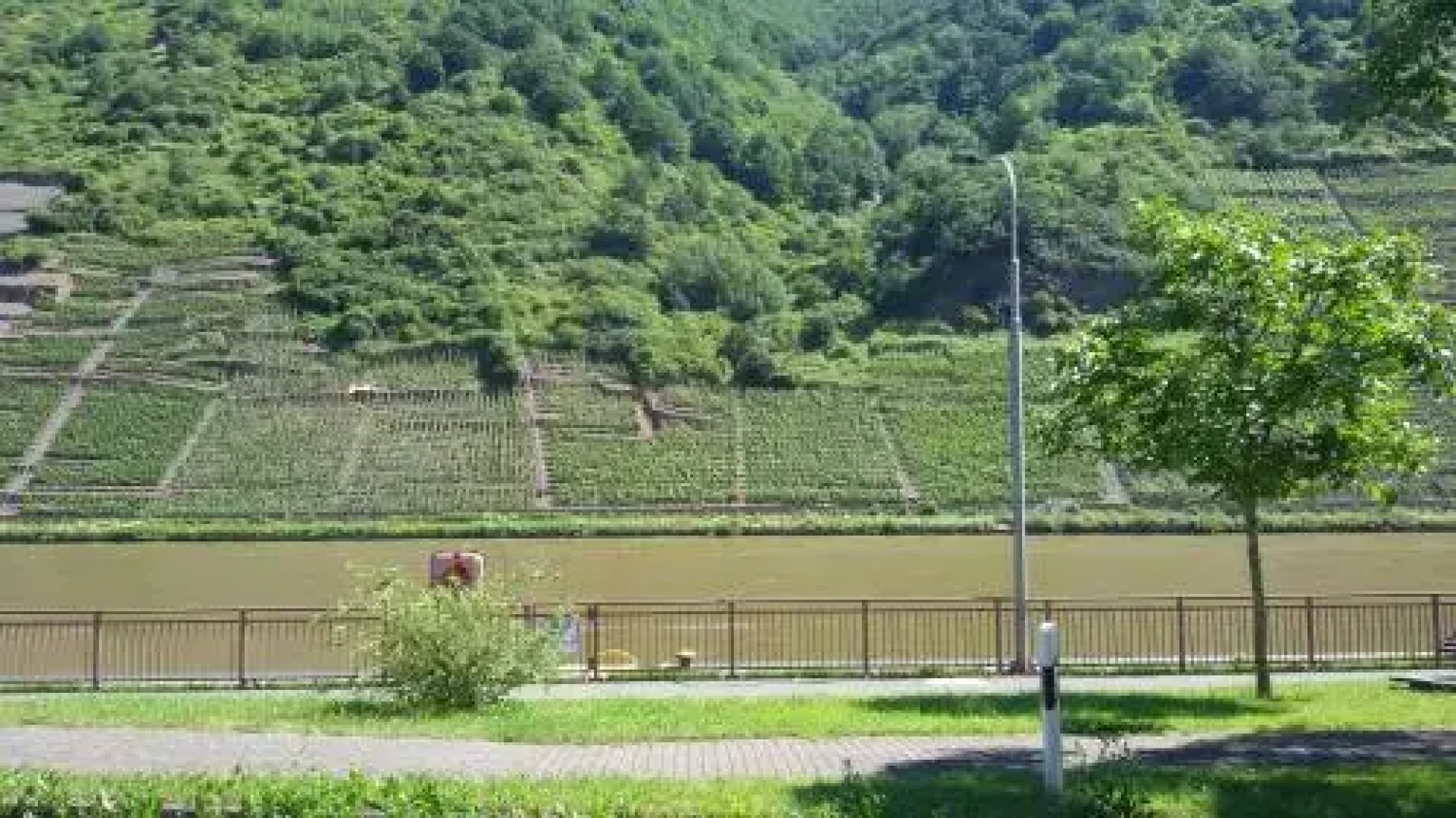 Gästehaus zum Moseltal