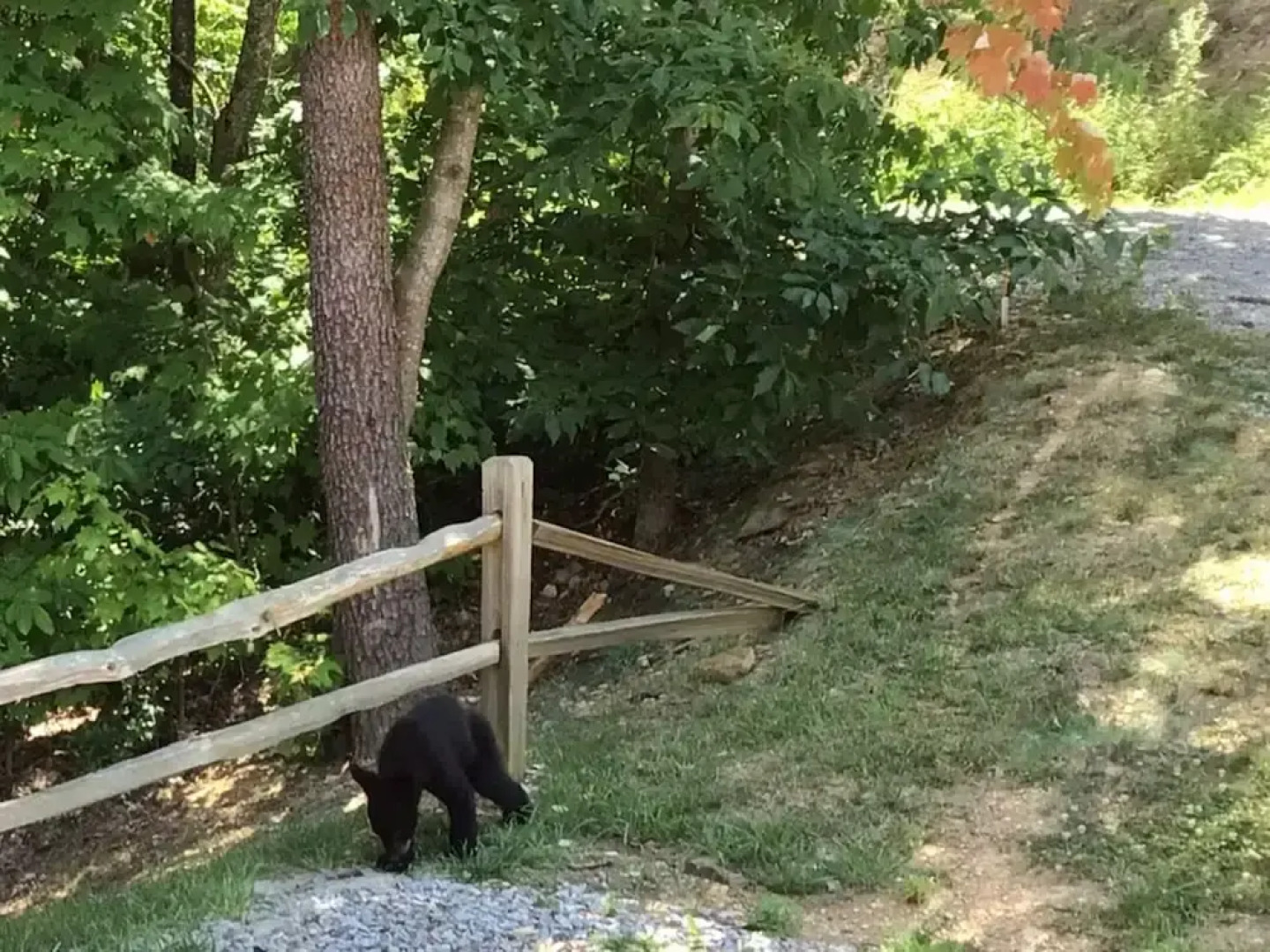 Roundtop Mountain Ridge