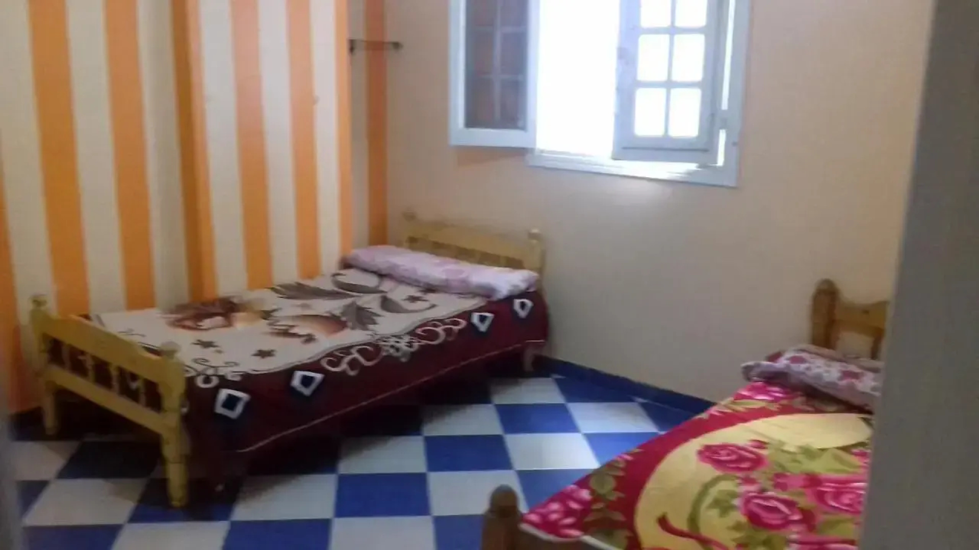 A 3-BR apt with FP in Alex - 20 mins from the sea