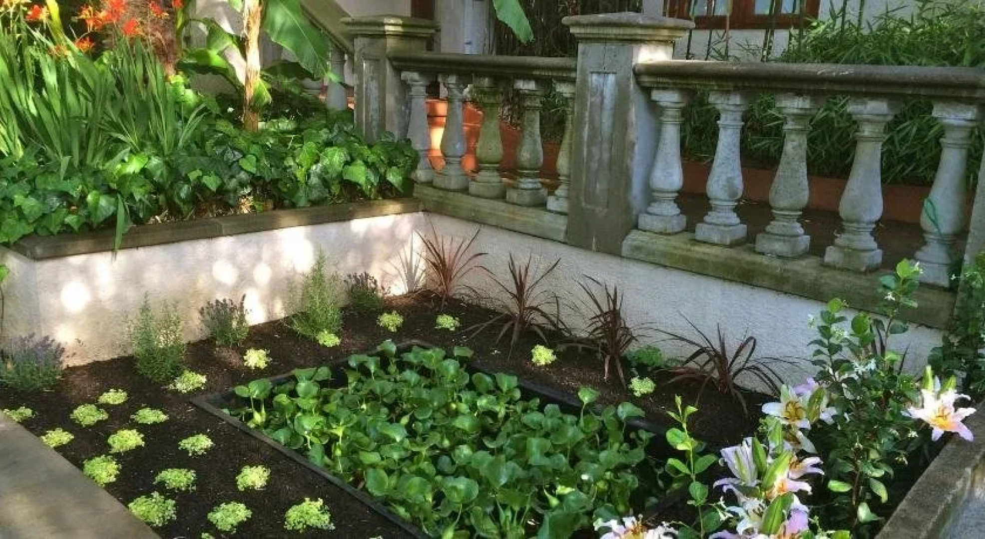 The Guesthouse Tropical Villa HI