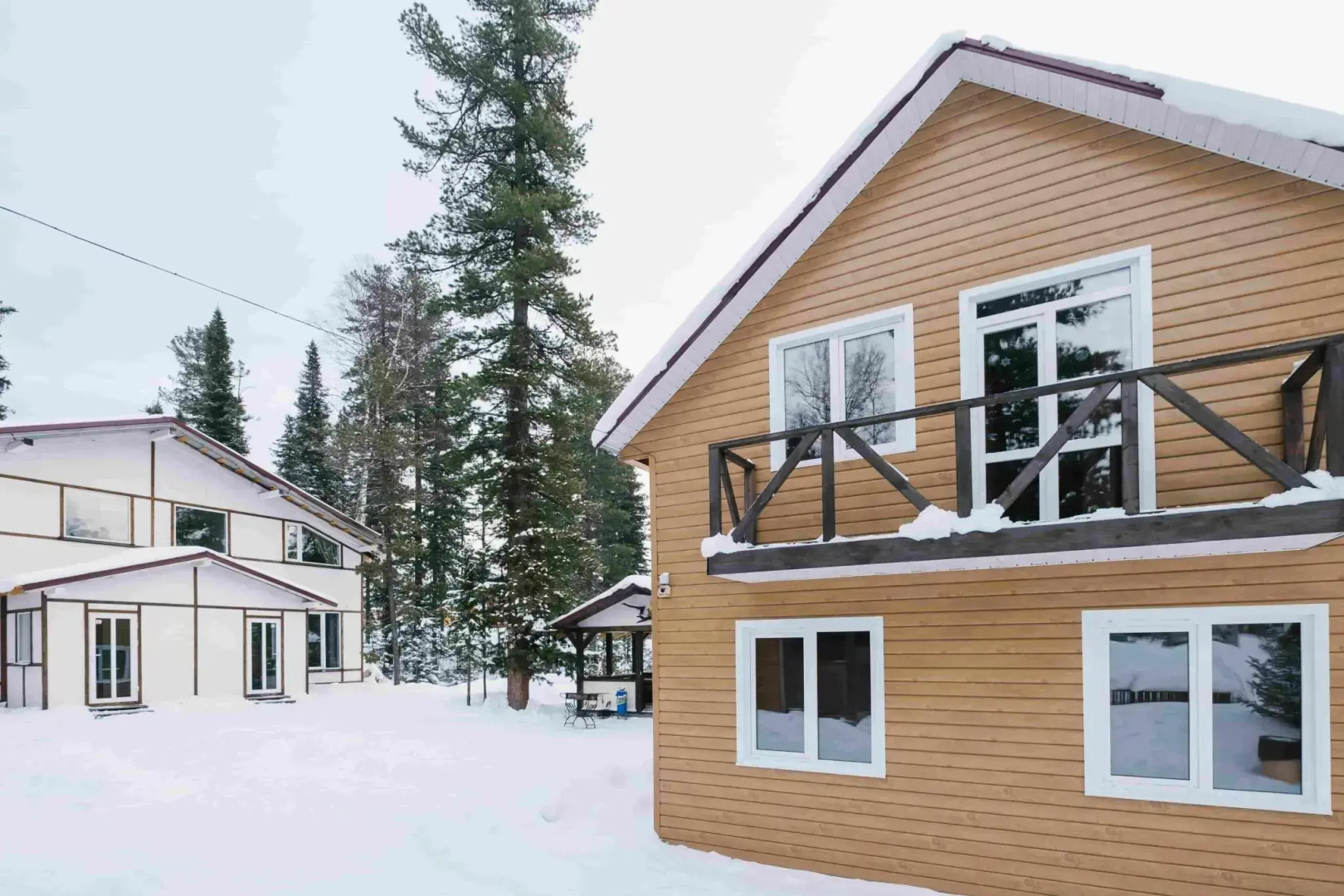 Дом в кедрах