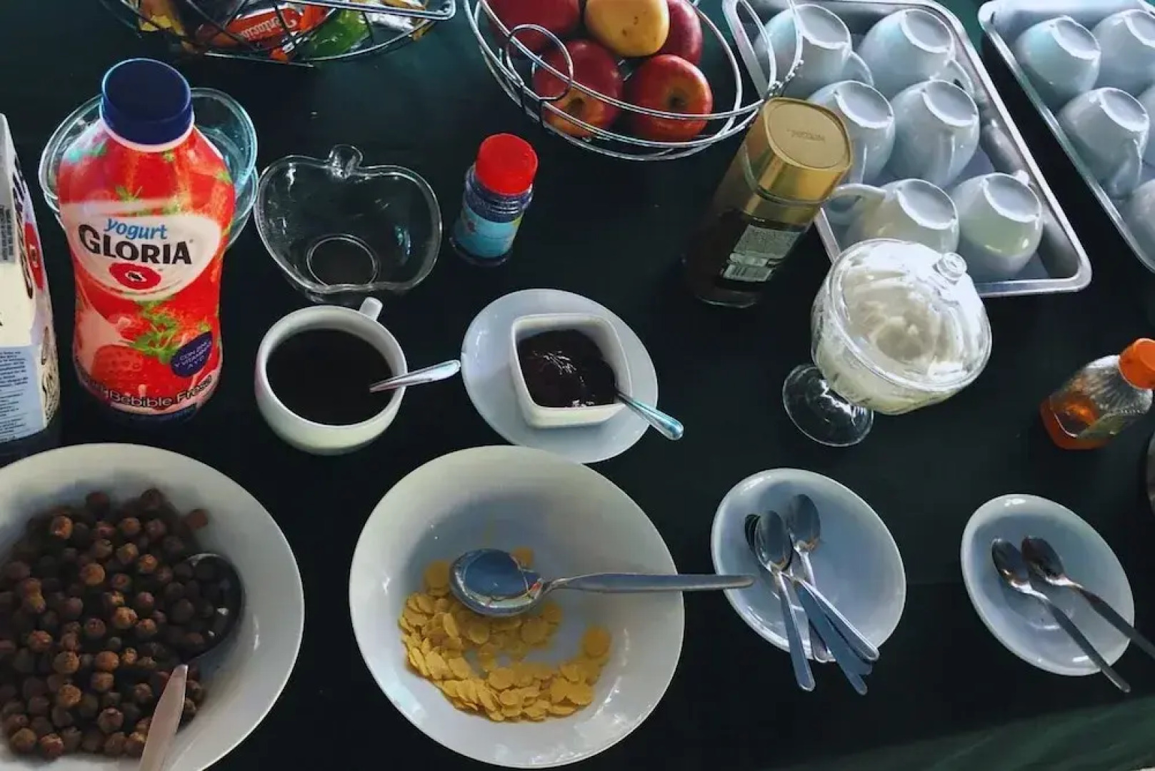 Curassow Amazon Lodge