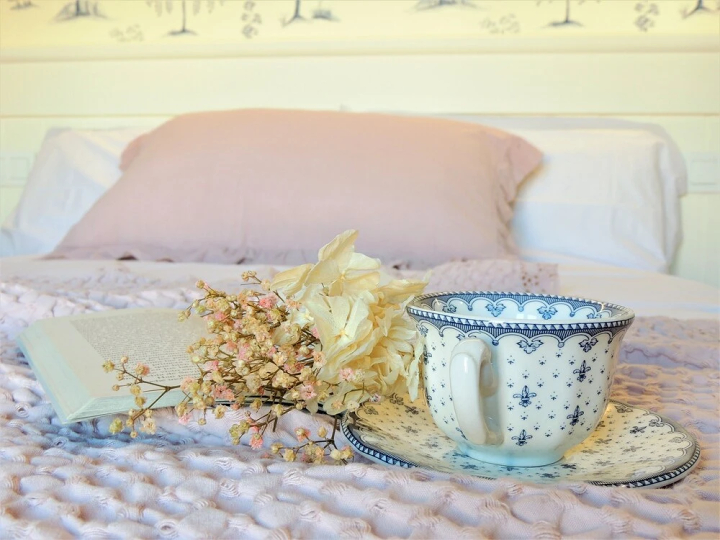 El Patio de los Jazmines "Boutique-House"