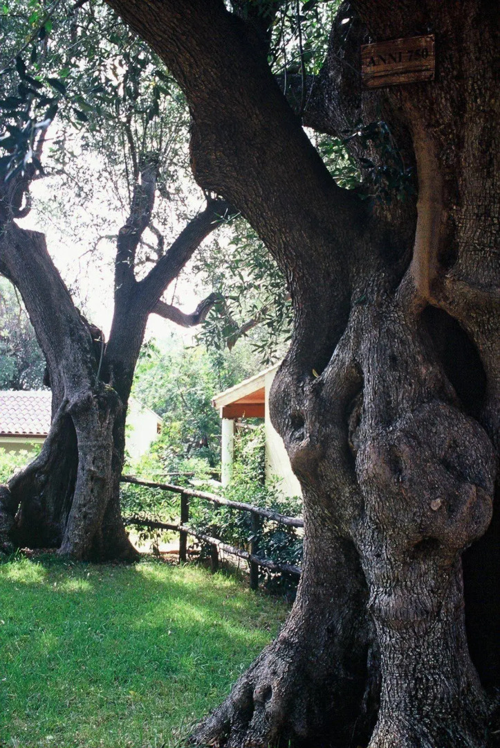 Touring Club Italiano - Marina di Camerota