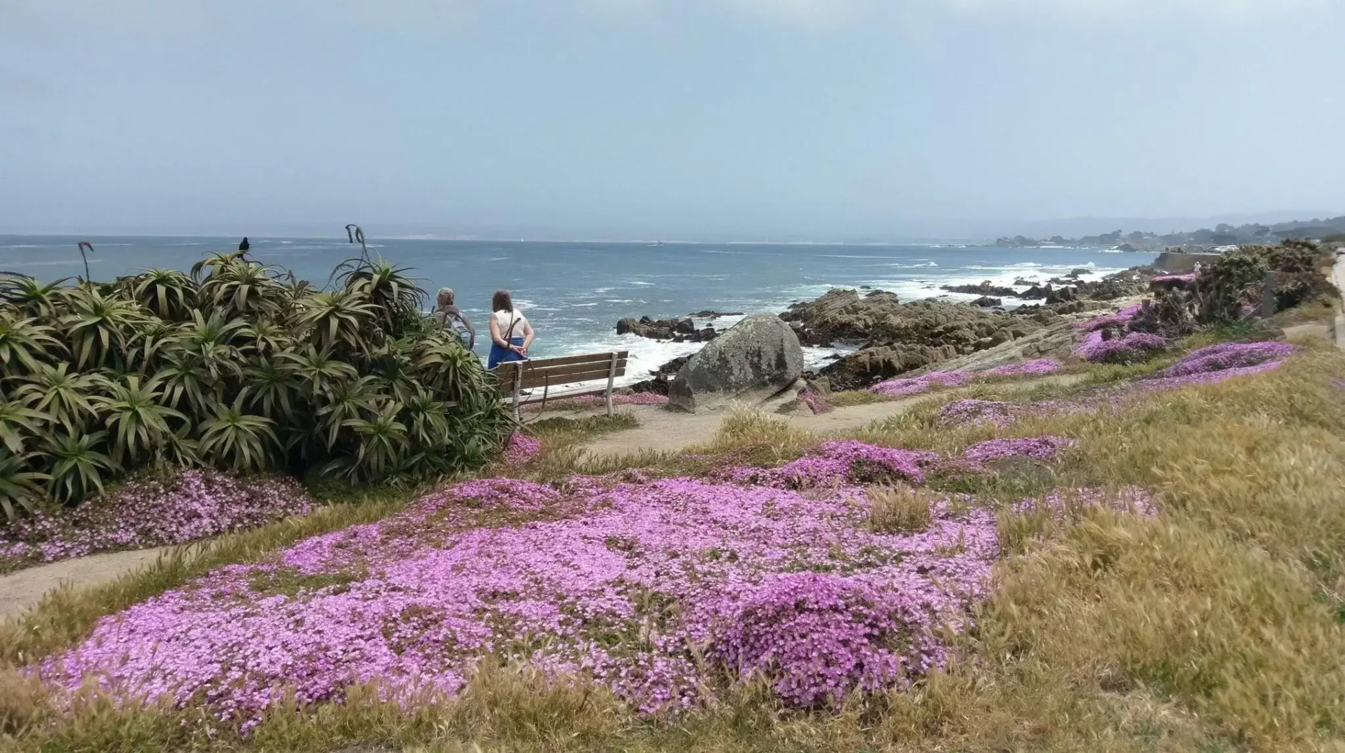 Pacific Grove Inn