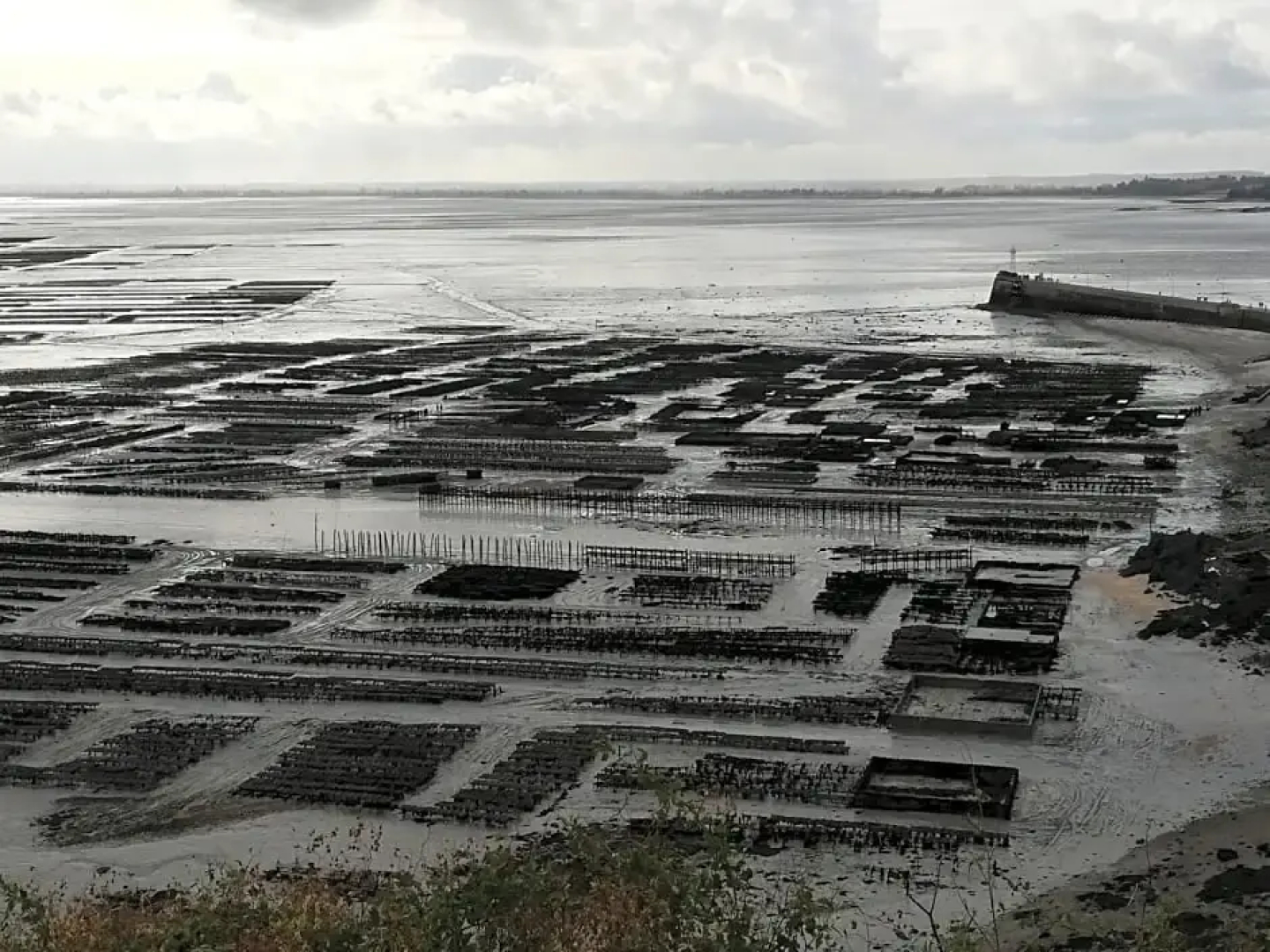 Gîtes et Chambres dHôtes Les Fleurettes en Baie Du Mont Saint Michel