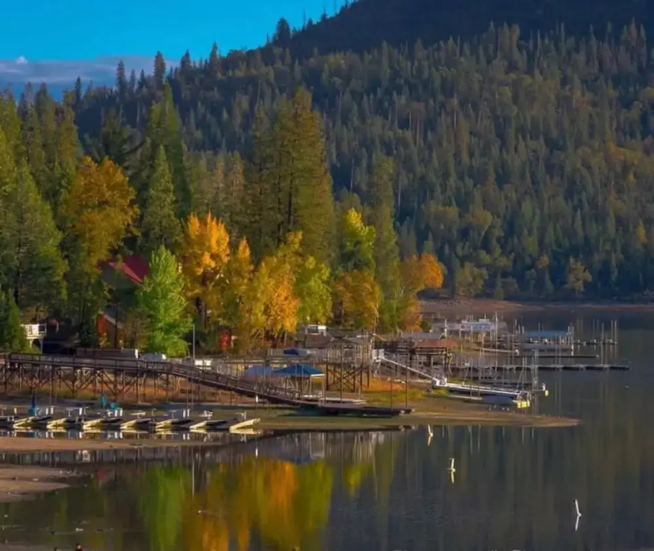 Yosemite Wonderland Chalet