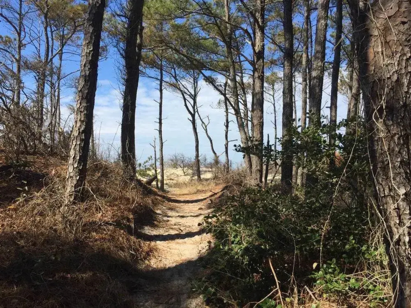 Alyssa House Bed & Breakfast