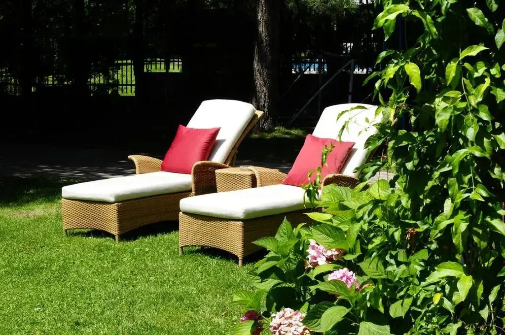 Gartenresidence Zea Curtis