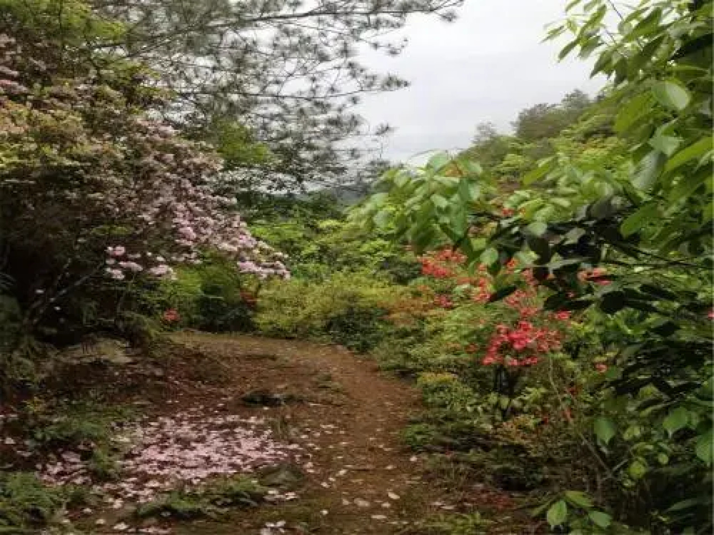 Longdong Lake Resort