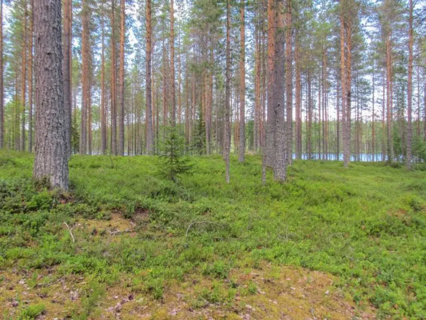 Holiday Home Pilkkaniemi