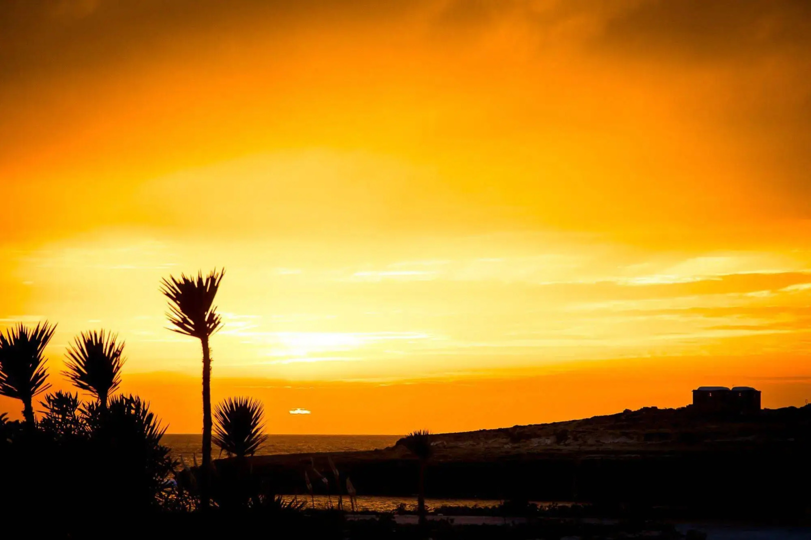 Hotel Ristorante Cavalluccio Marino