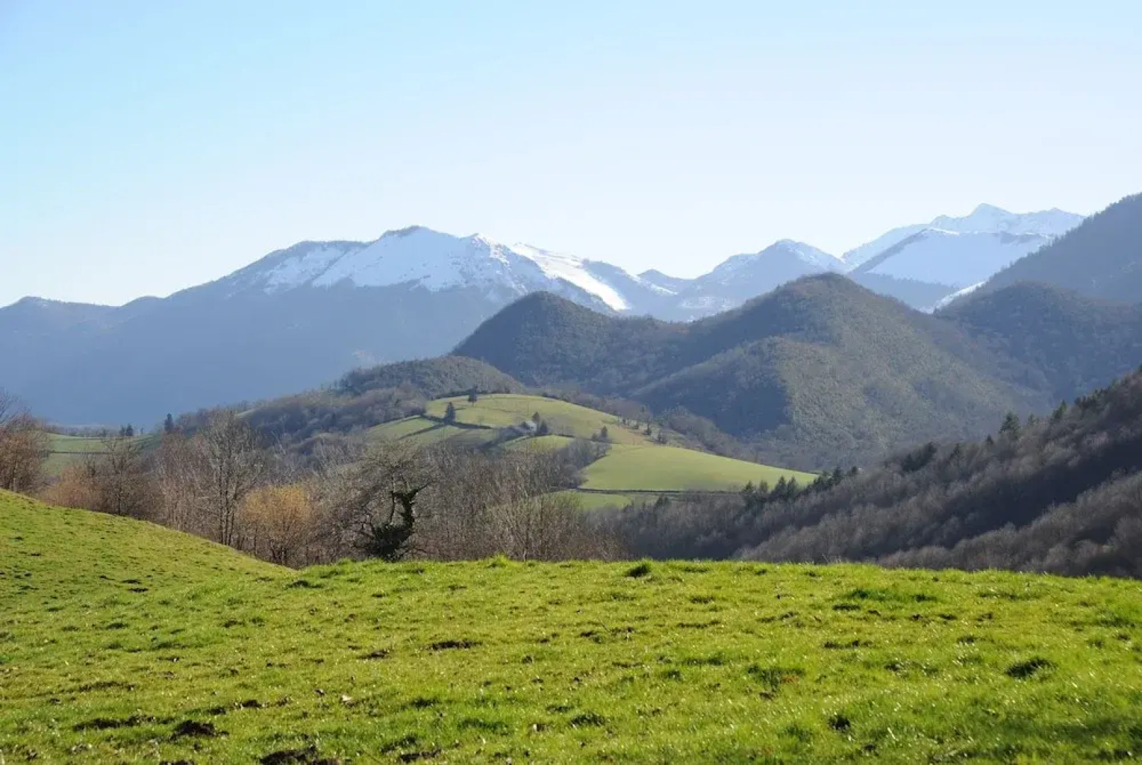 ROC Refuge Out Of The City