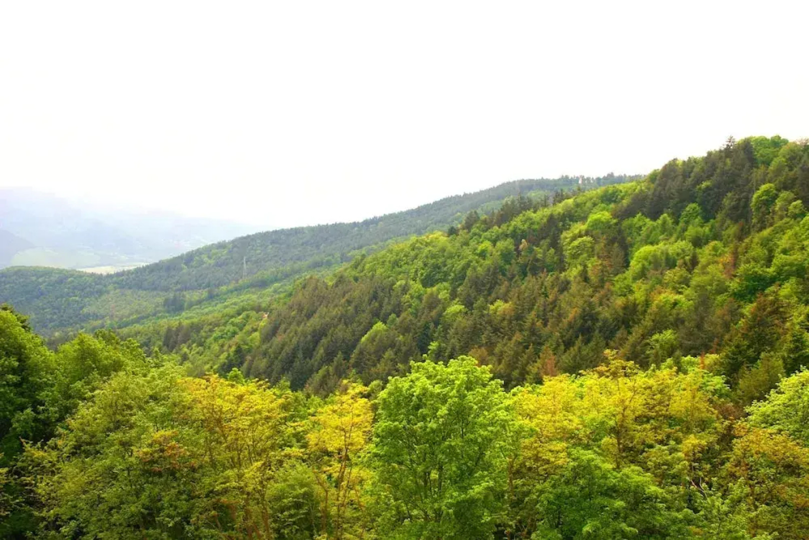 Hostellerie Le Turckheim Croix d'Or