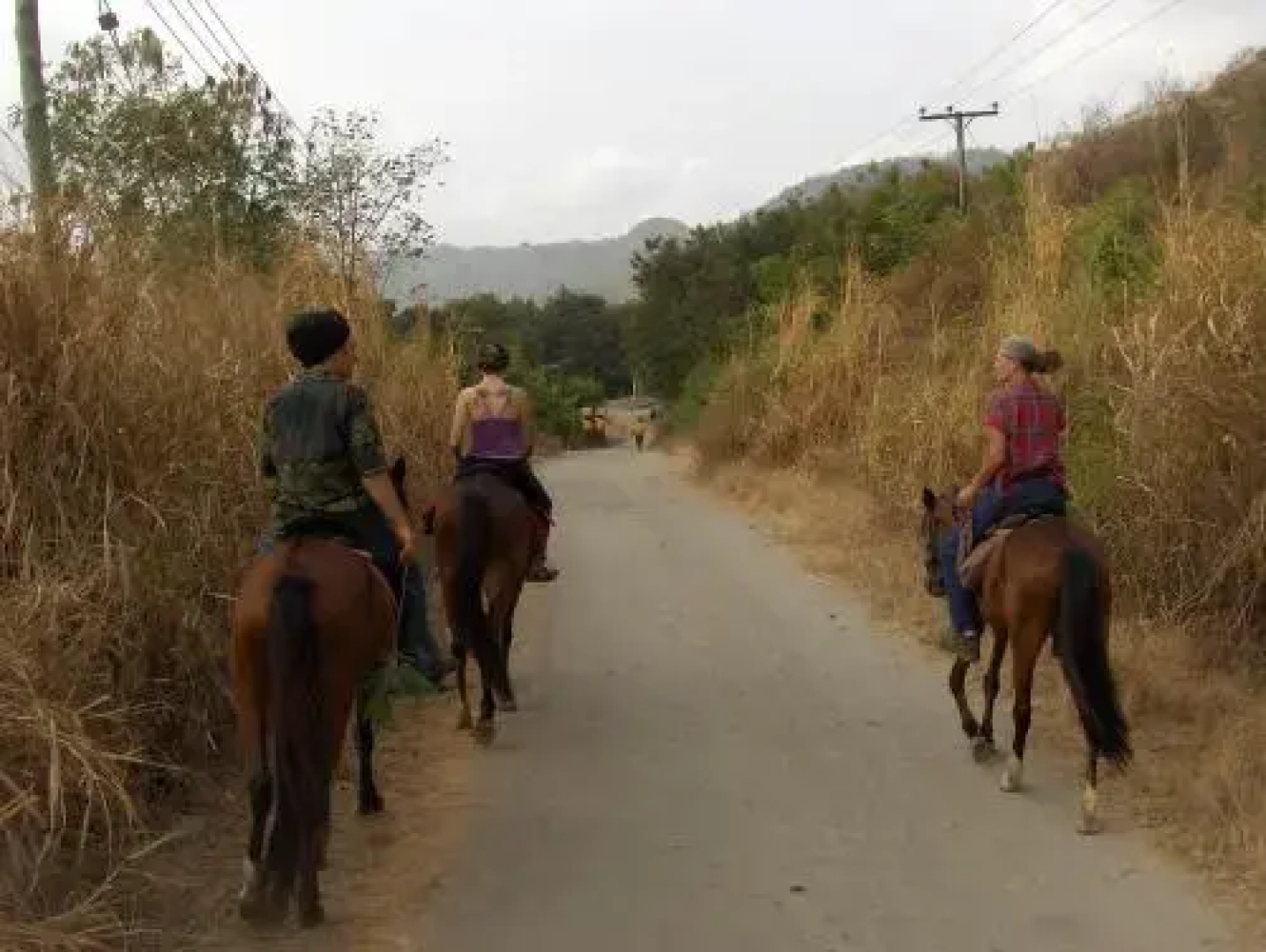 The Green Ranch