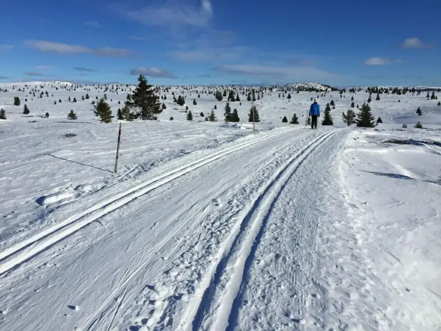 Lilleset Cabin - Gol