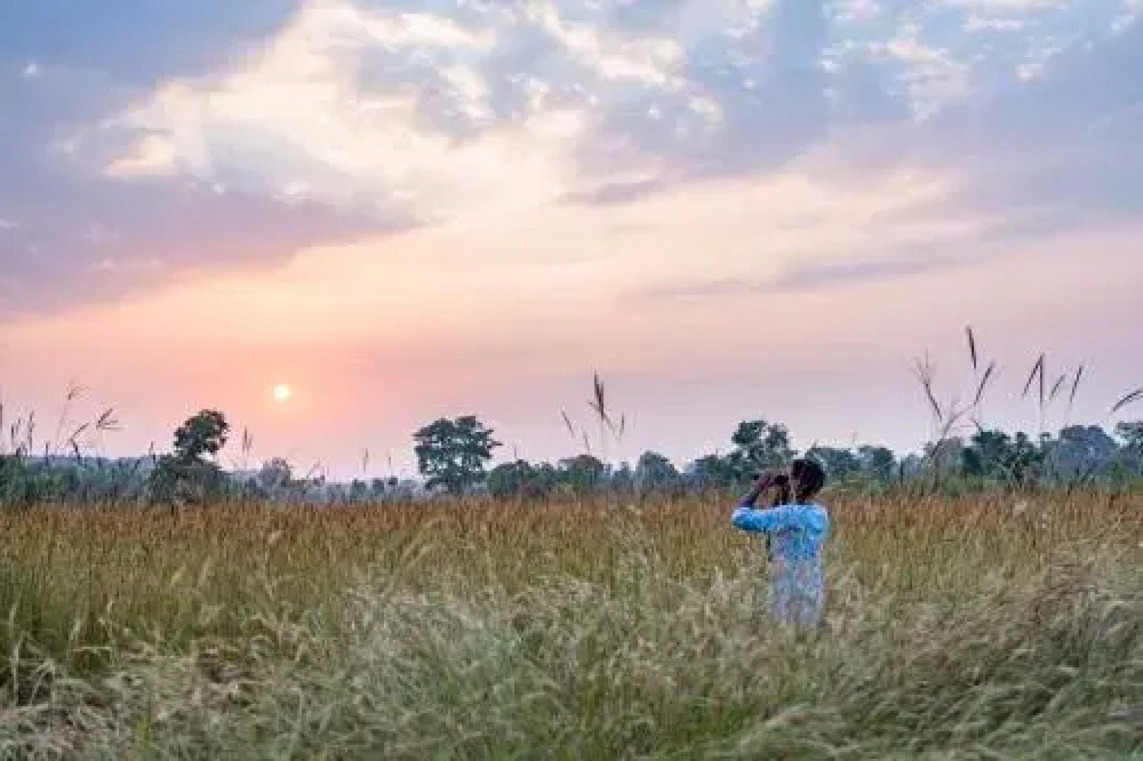 Tree House Hideway Bandhavgarh