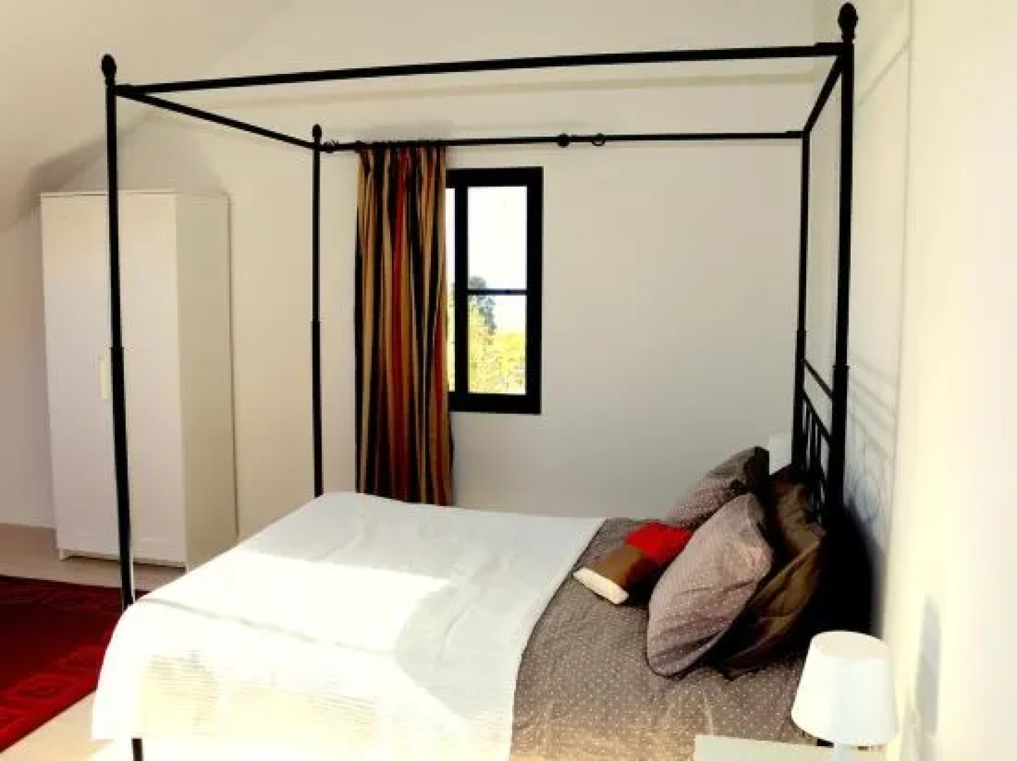 Madeira Native Motion