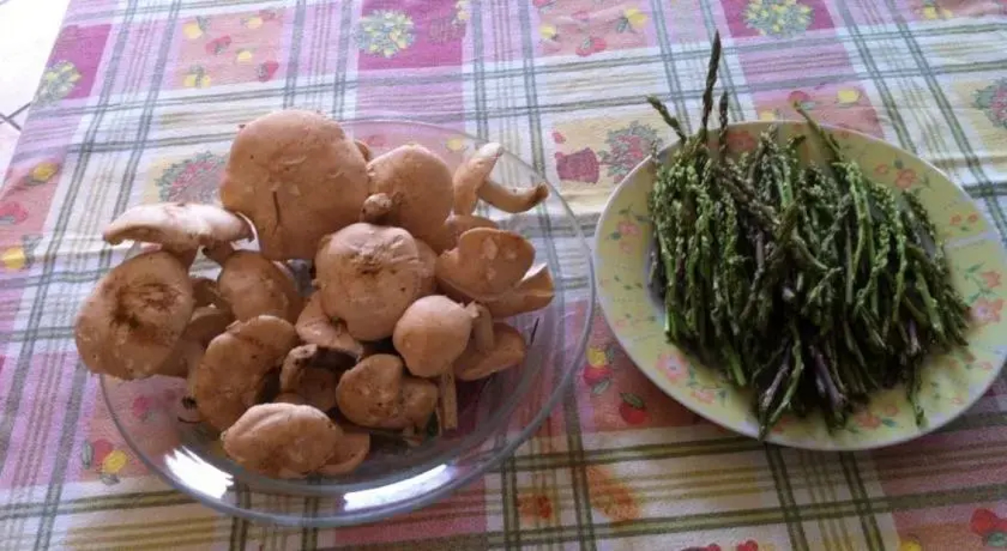 Country house il Gelsomino