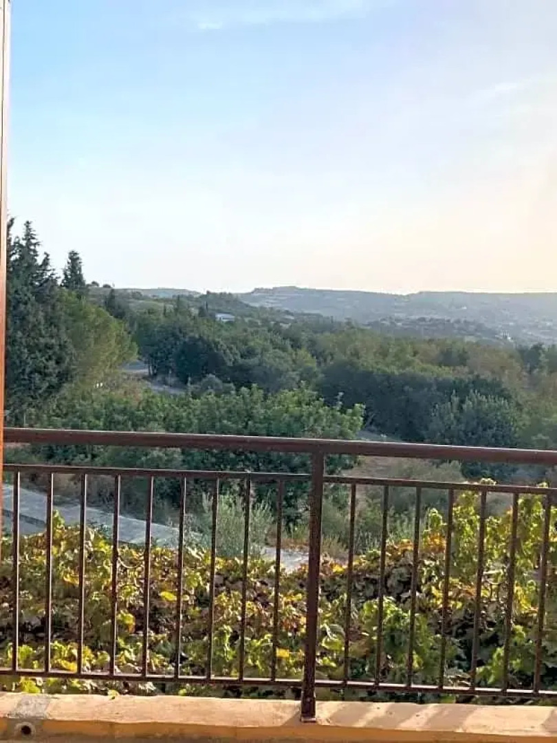 Spring Of Life Forever