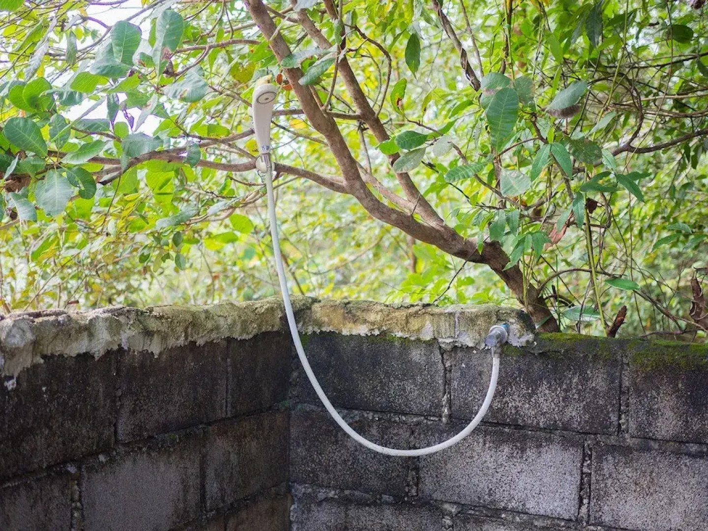 Wichai's Jungle Home Stay