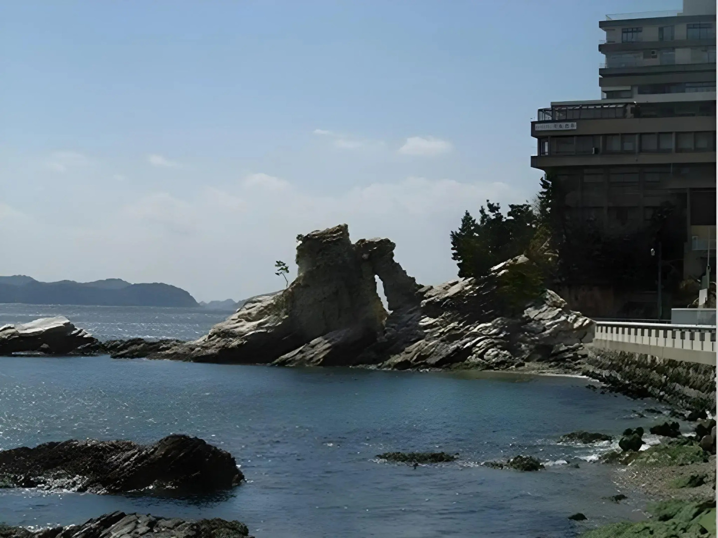 Hotel Shinwaka Lodge