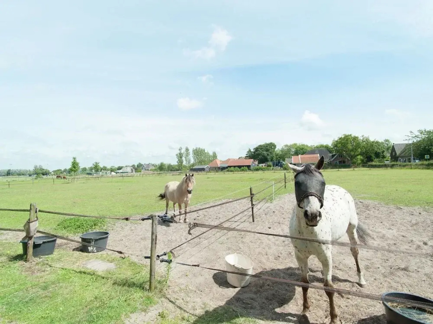 Lively Cabin near Forest in Bergen