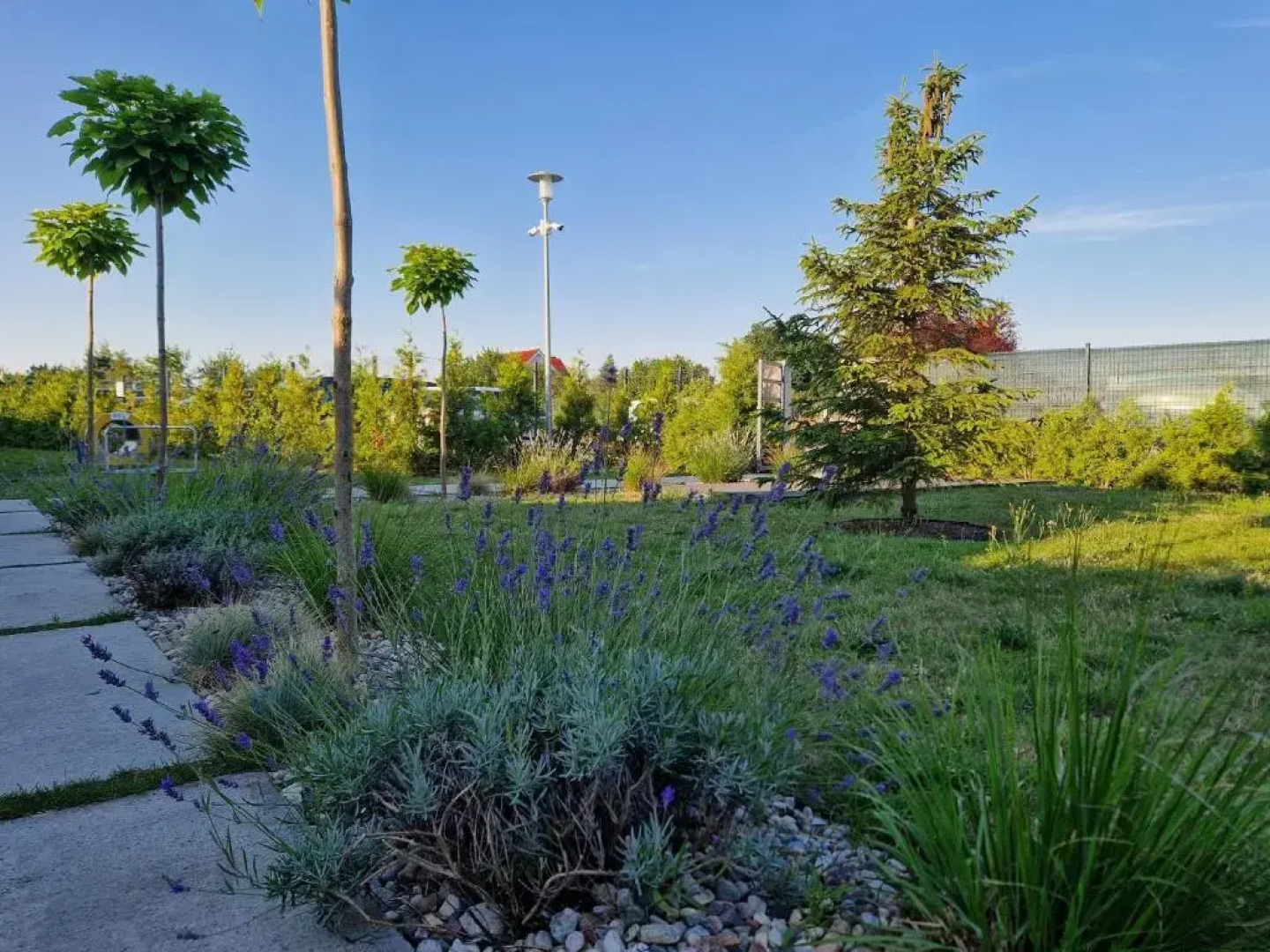 5 Zmyslow akademia wypoczynku