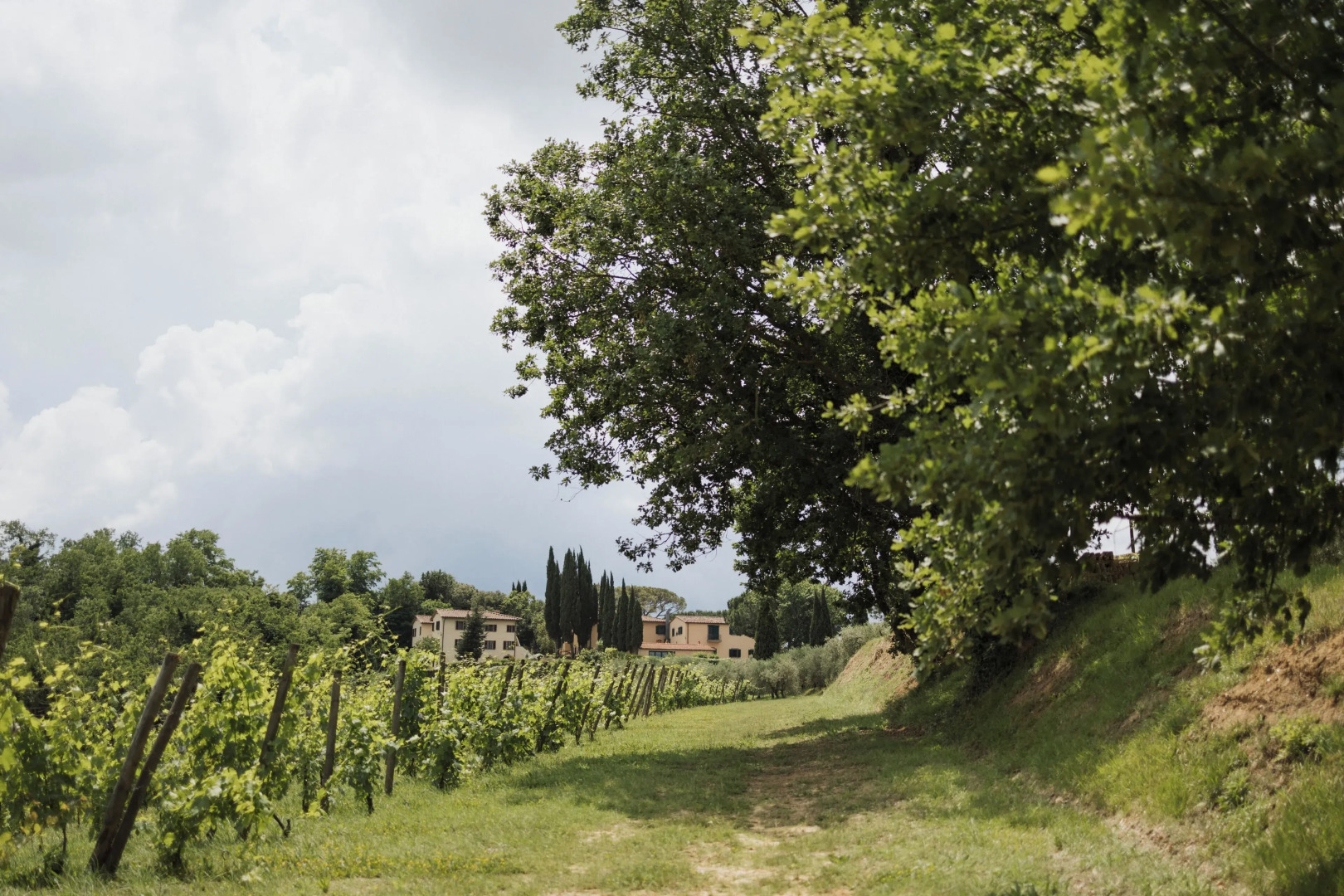 Villa Delia Hotel & Cooking School