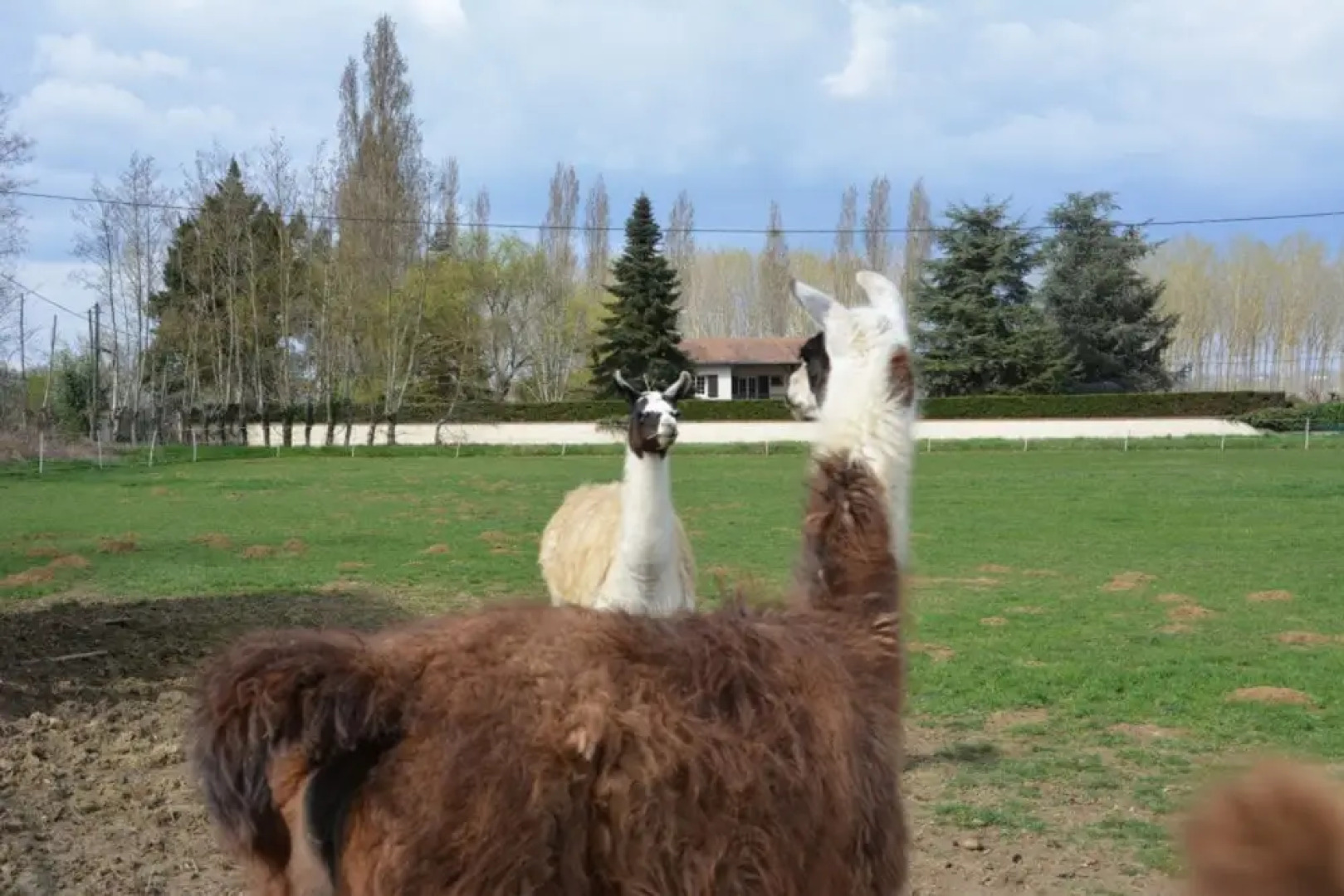 Gite du Pont du Bartac