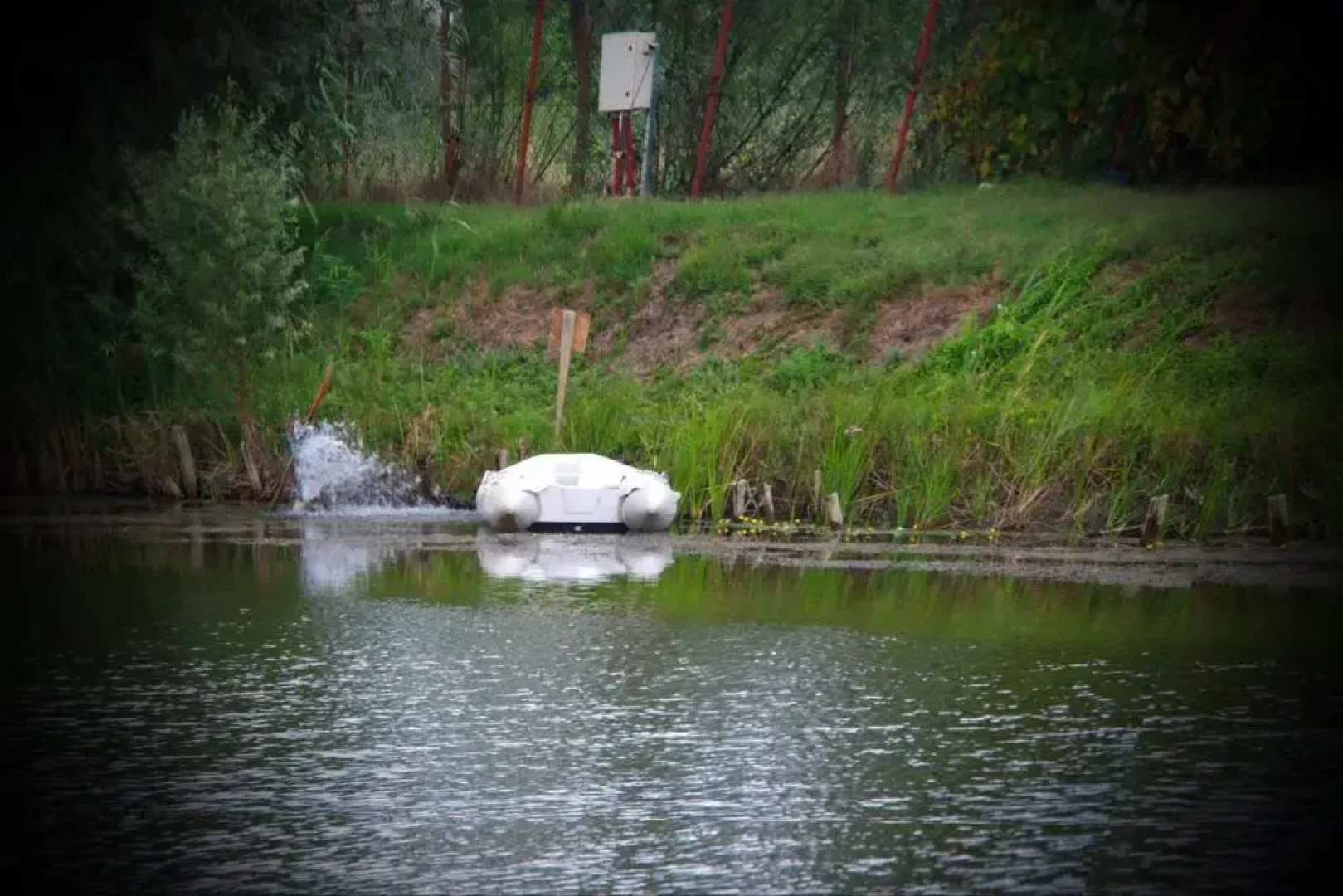 Vulturul Pescar