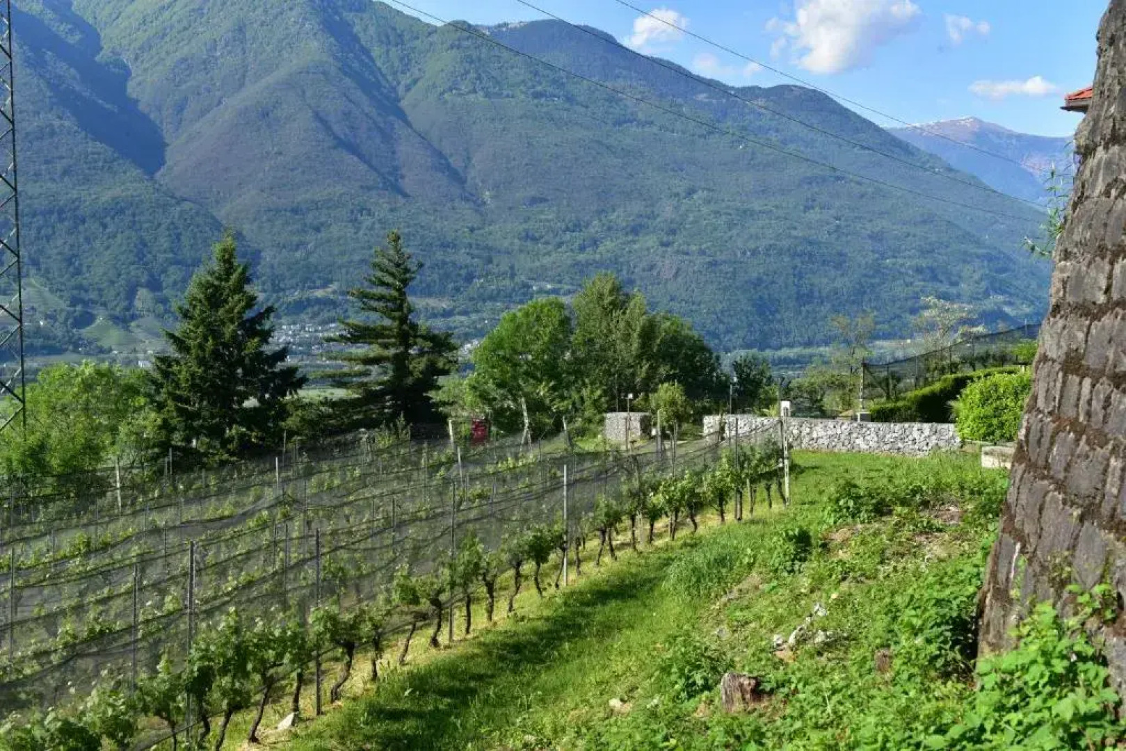 Agriturismo Viva Bacco